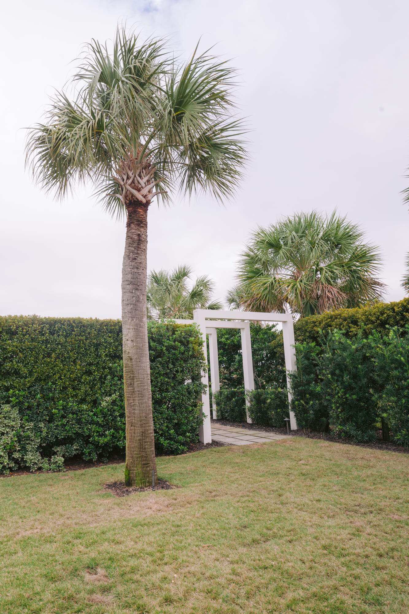 Charleston I