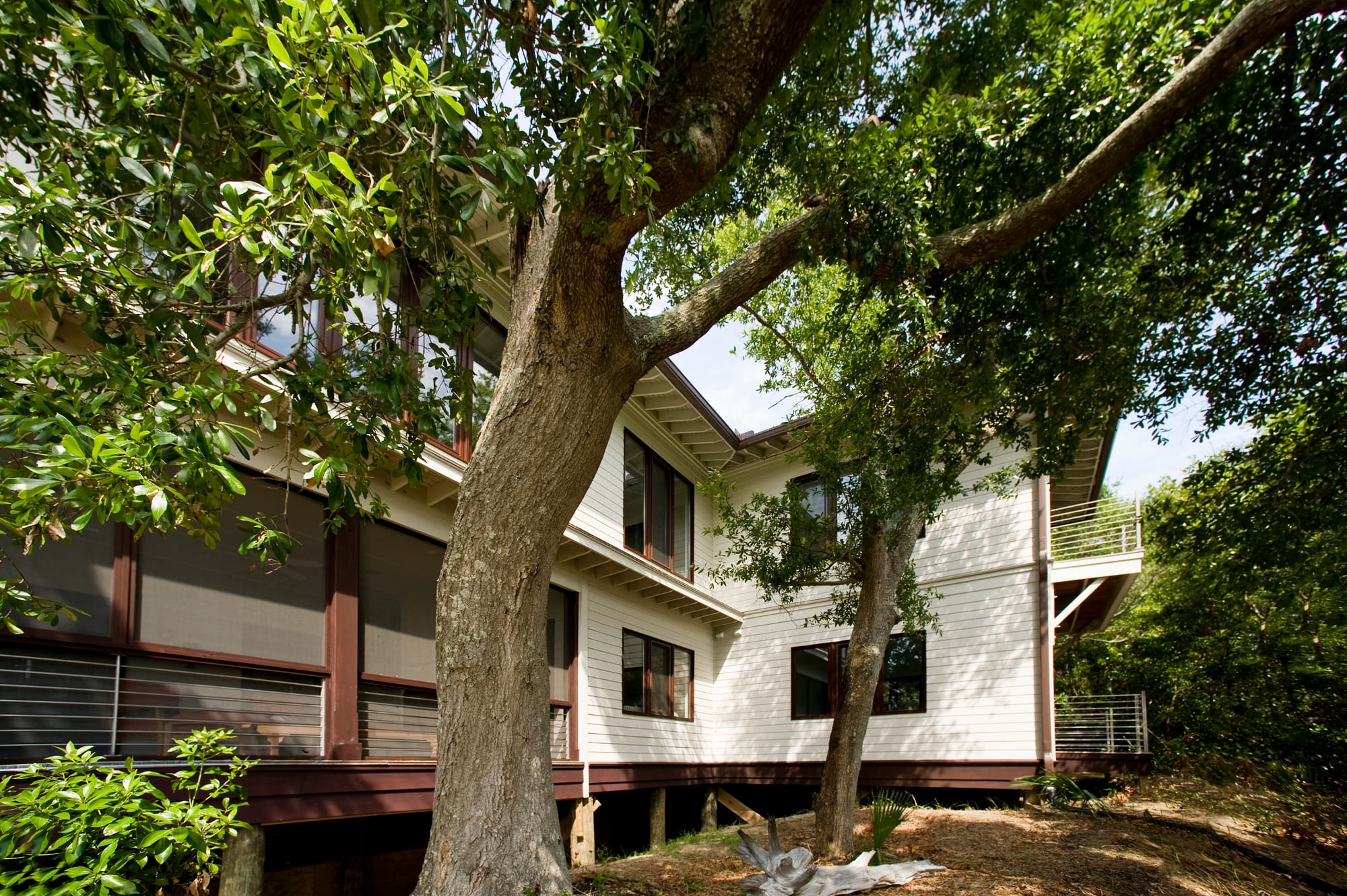 Dewees Island I