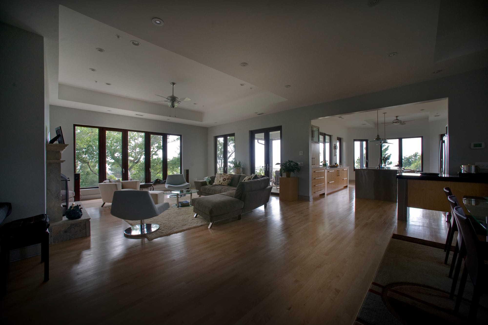 Dewees Island I