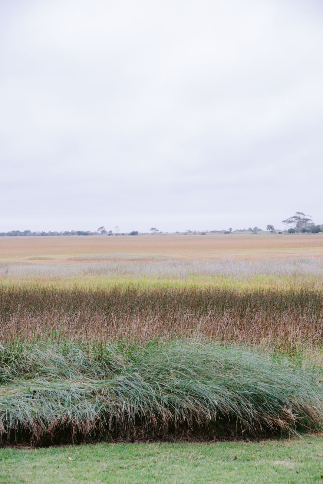 The marsh