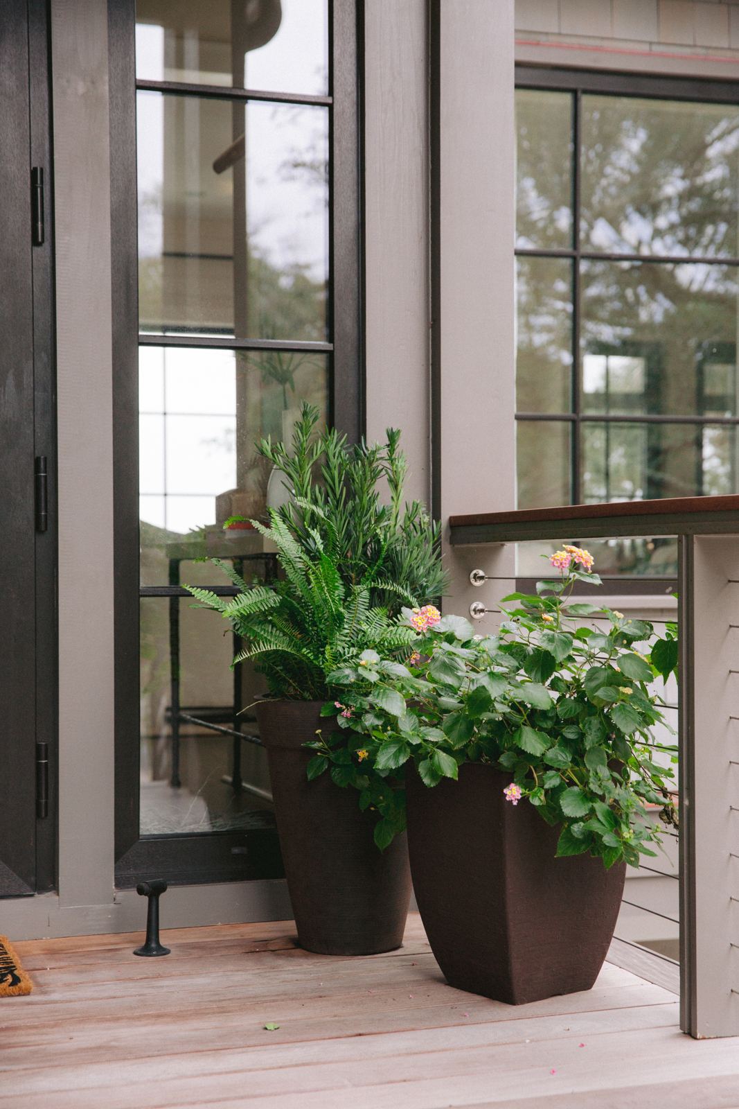 Window vignette