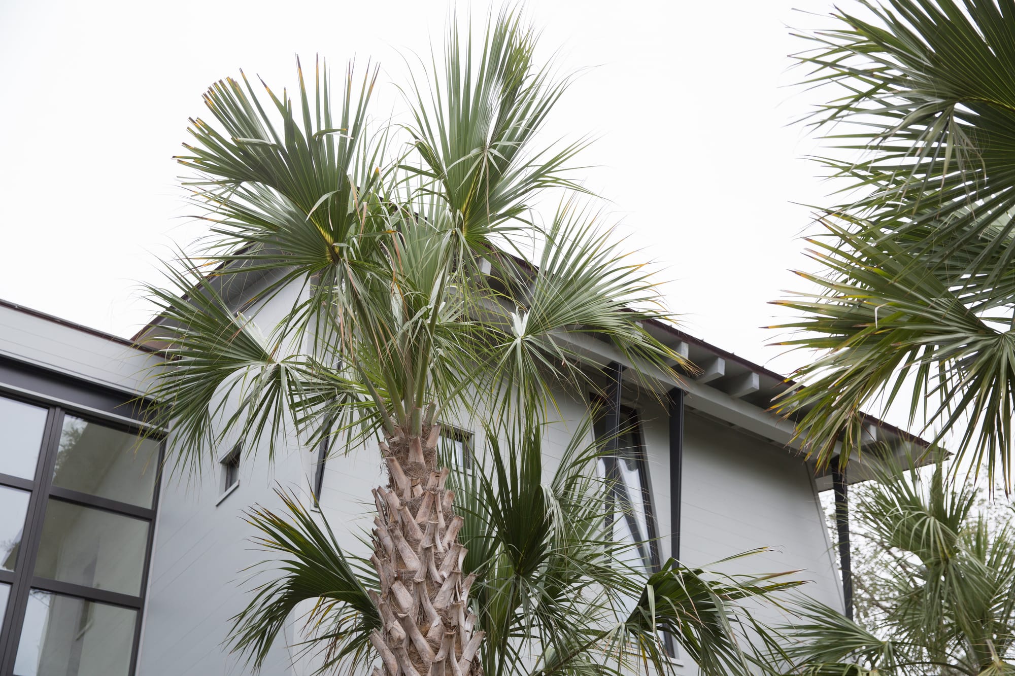 Kiawah Island VIII