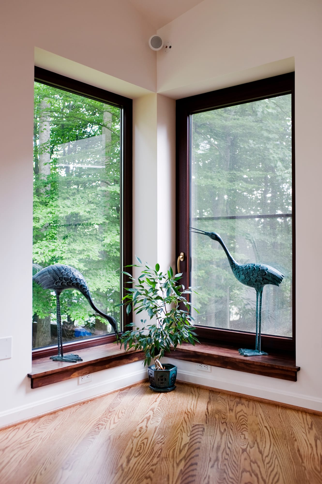 Rockville I