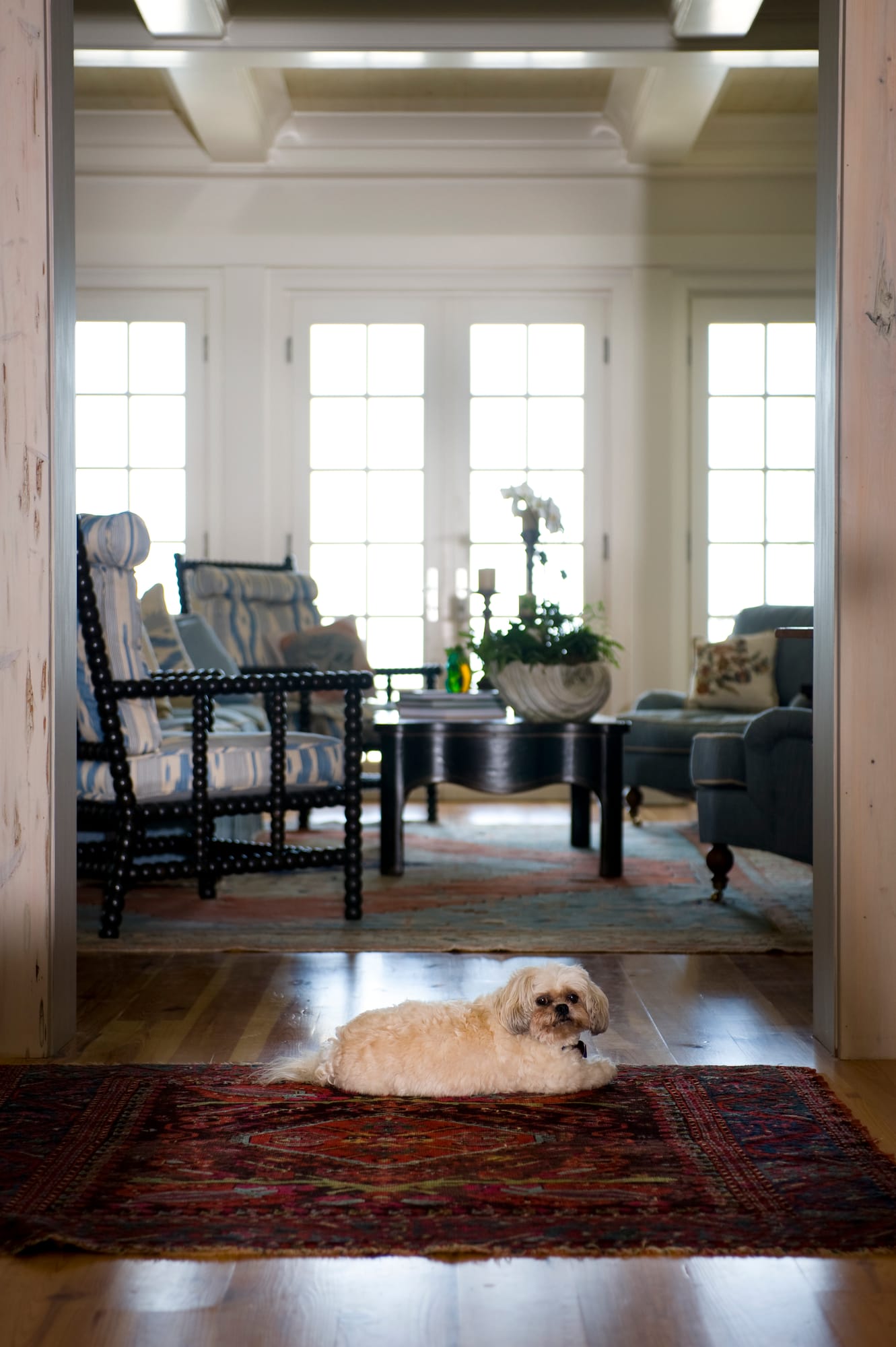 Sea Island I